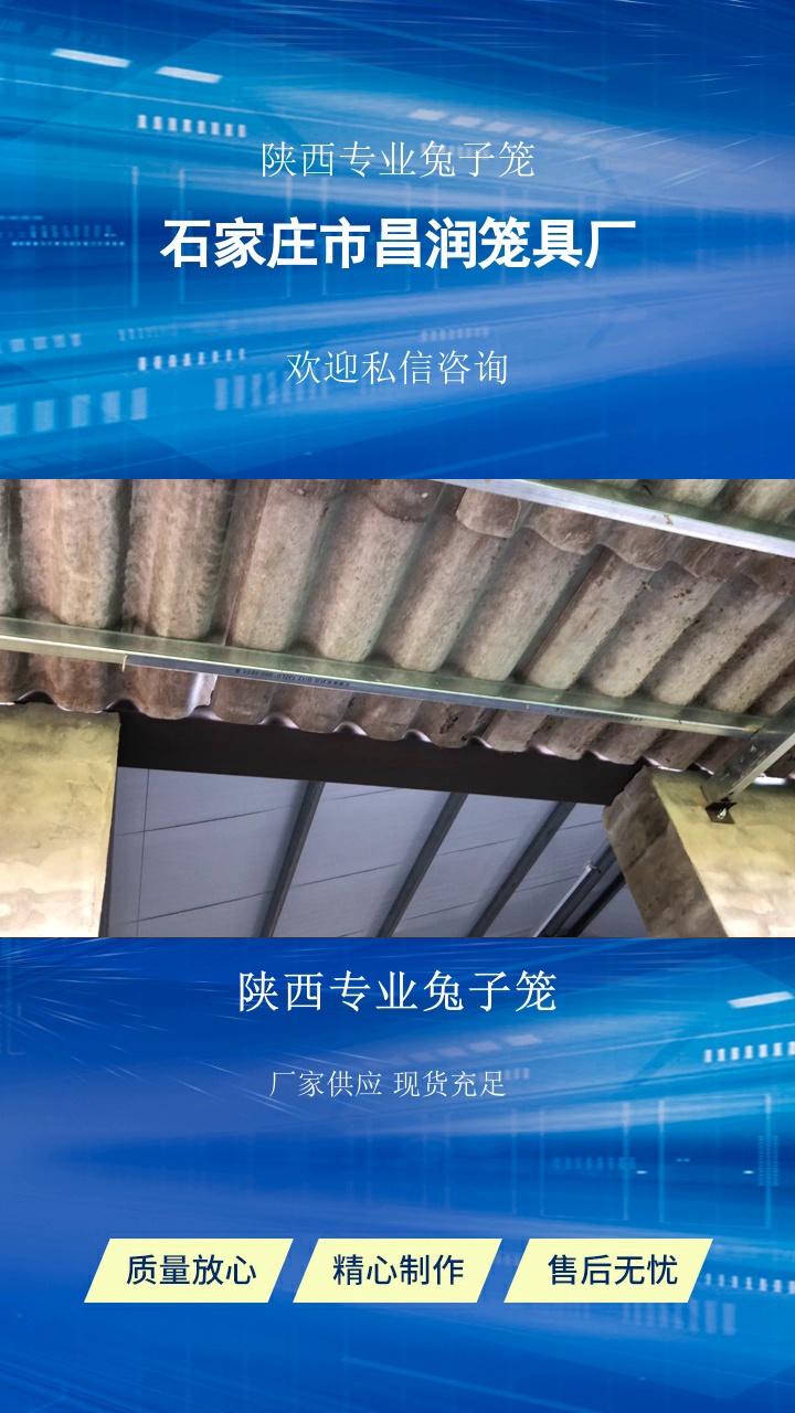 陕西专业兔子笼，想要好兔子笼？选昌润，热镀锌耐腐蚀，源头厂家一手价，定制超方便！​热镀锌欧式双层笼16   24位，抗腐耐用易扩展，阶梯18位笼管理便捷。​了解具体信息，点赞关注我#广西24位欧式兔笼 #陕西专业兔子笼 #甘肃热镀锌兔子笼 #热镀锌兔子笼价格 #专业兔子笼 