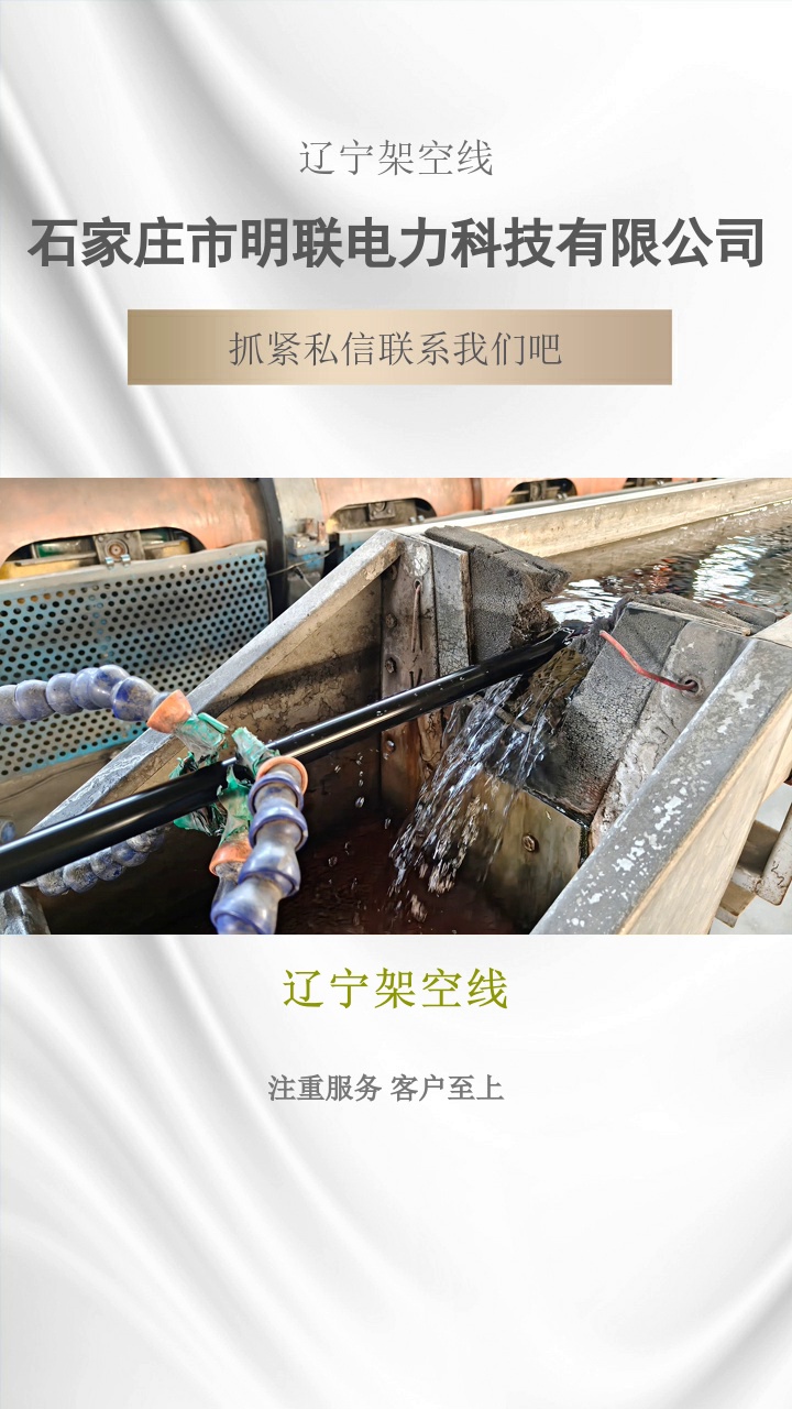 辽宁架空线，架空线一般由电线和电杆组成。架空线可以灵活应用于各种地形和环境条件，具有较强的适应性。了解具体信息，点赞关注我#架空绝缘导线 #黑龙江带钢丝绝缘架空线 #带钢丝绝缘架空线 #辽宁架空线 #四川低压架空线 