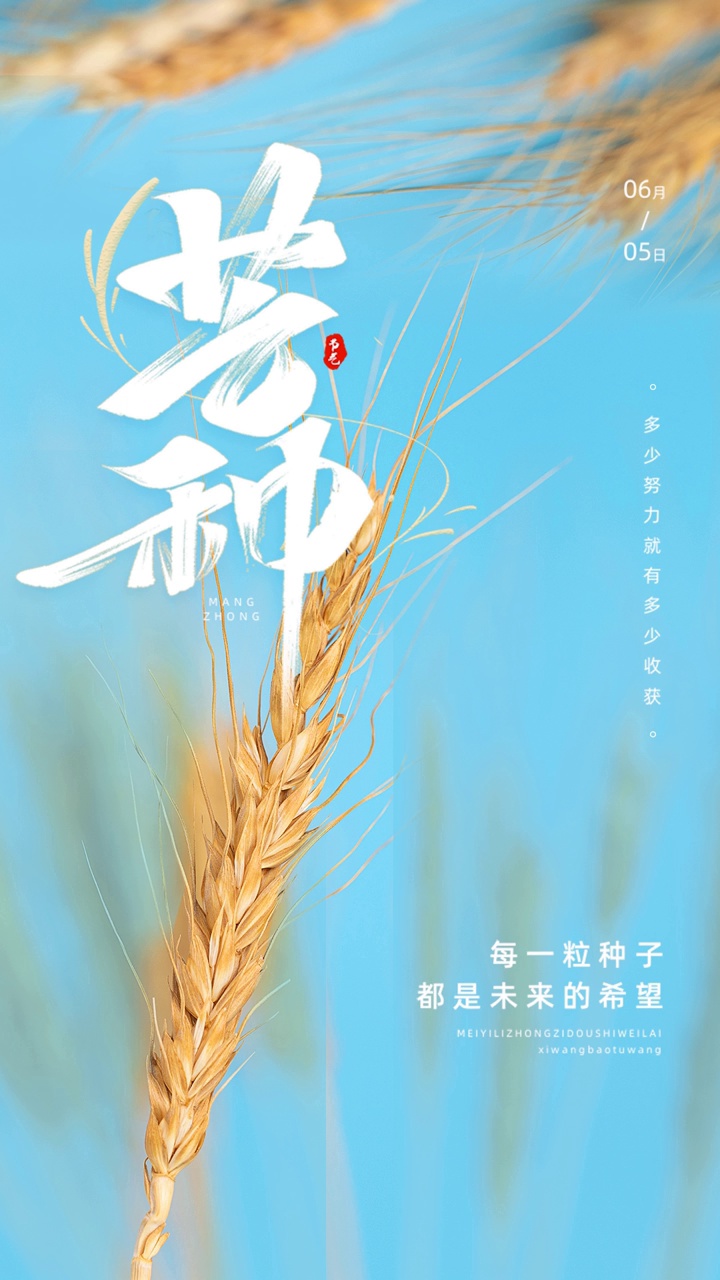 收割昨日辛劳，播种明日憧憬，芒种正当时。#芒种#二十四节气#麦收#收获#收获