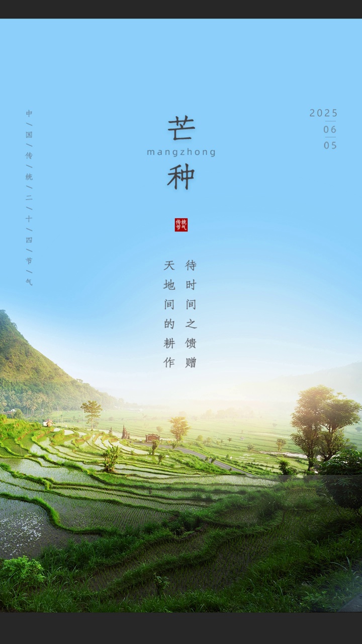 梅子黄时雨，芒种插秧急，时光不负耕耘意。#二十四节气#二十四节气#丰收#收获#